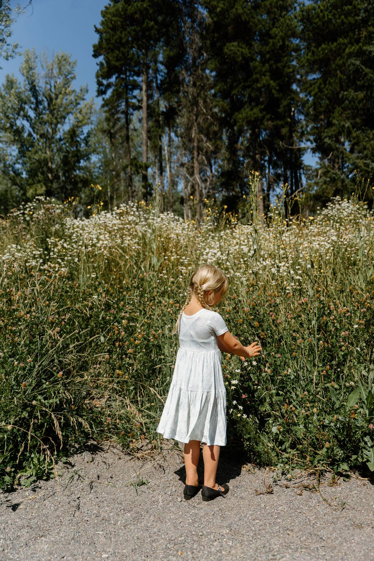Short Sleeve Twirl Dress- Valley Blooms