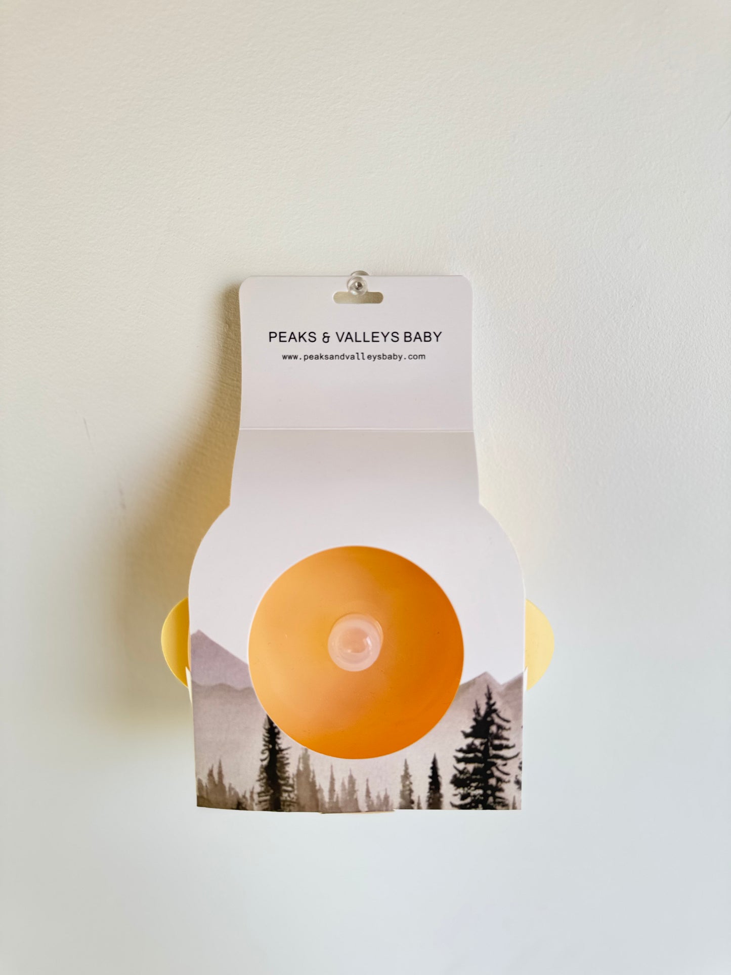 Silicone Bowl with Lid