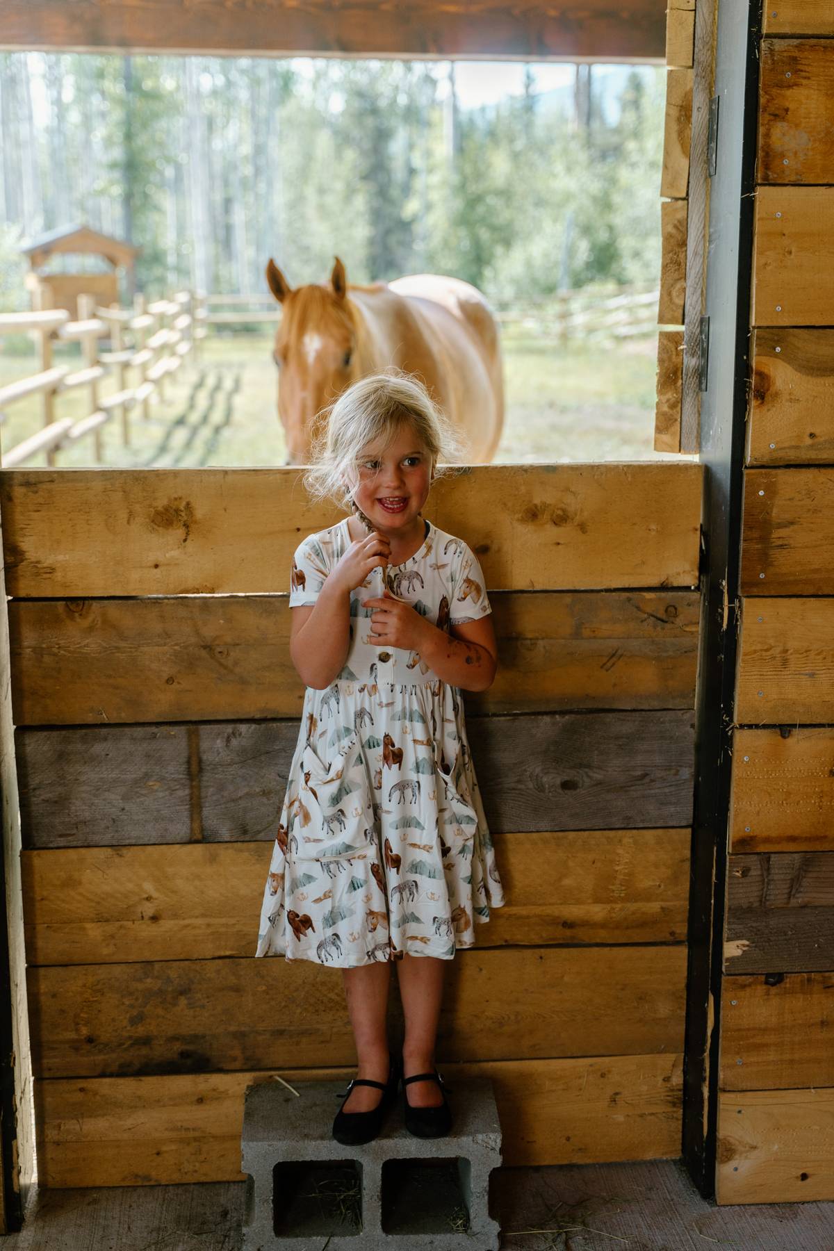 Short Sleeve Pocket Dress- Mountain Trails