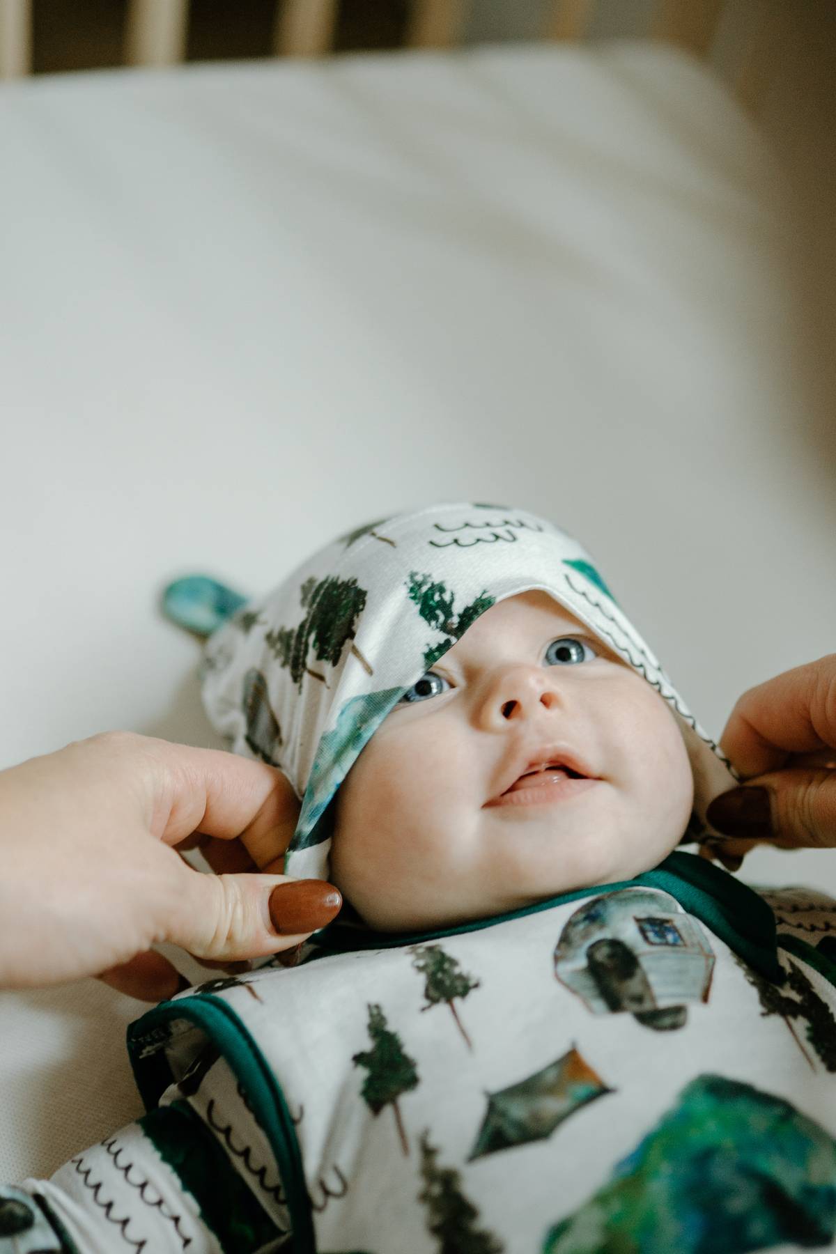 Bear Hat- Borealis Bear