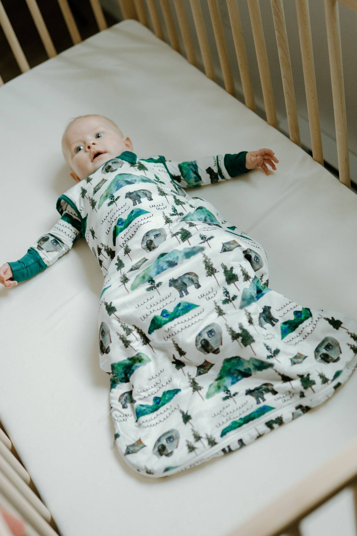 1.0TOG Sleep Bag- Borealis Bear