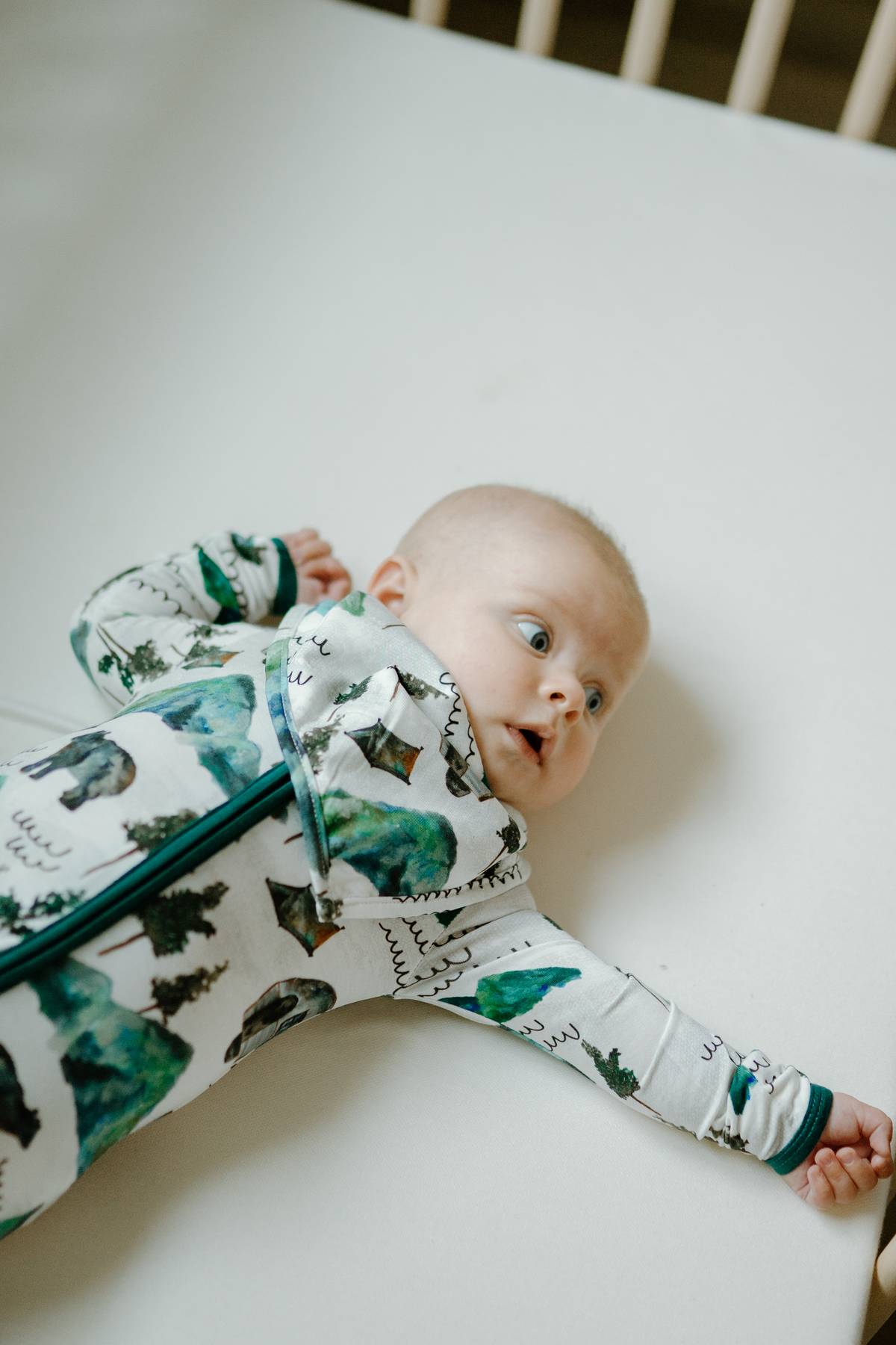 Bandana Bib-Borealis Bear