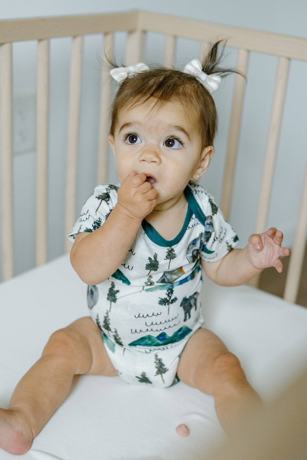 Short Sleeve Onesie- Borealis Bear